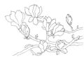 Black outline of a flowering magnolia branch.